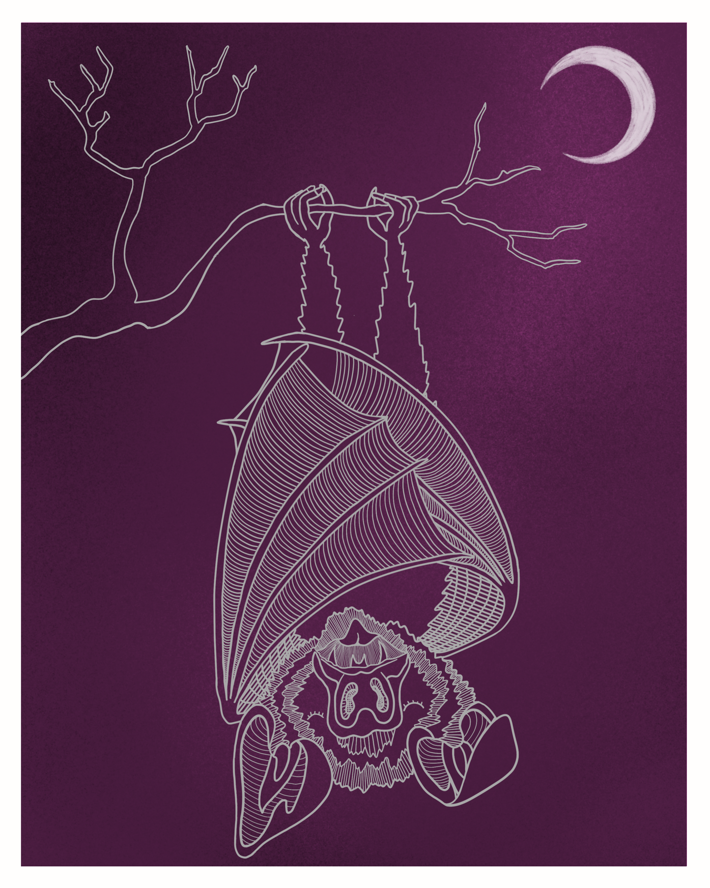 Sleeping Bat Buddy