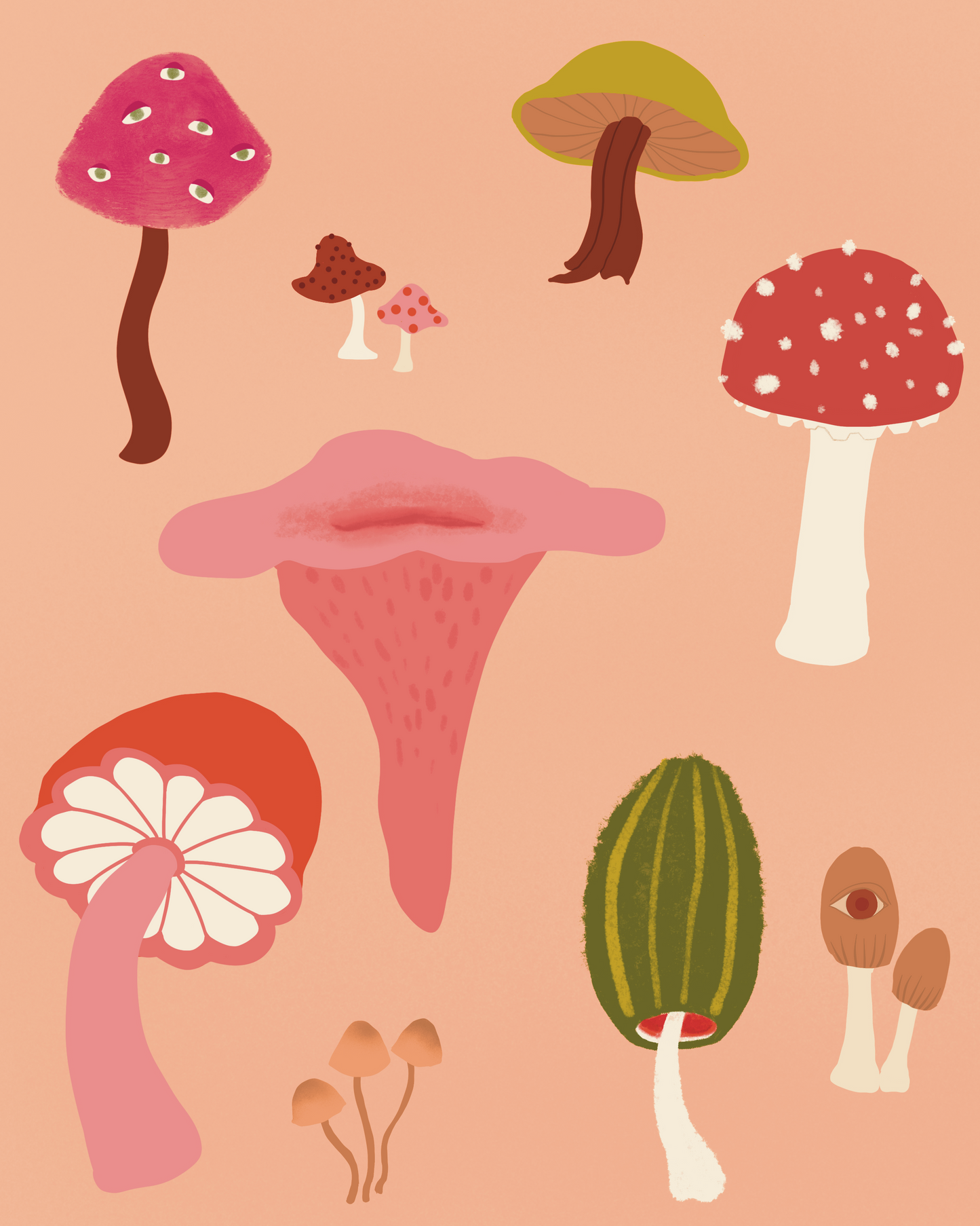 Not Your Mama's Mushrooms